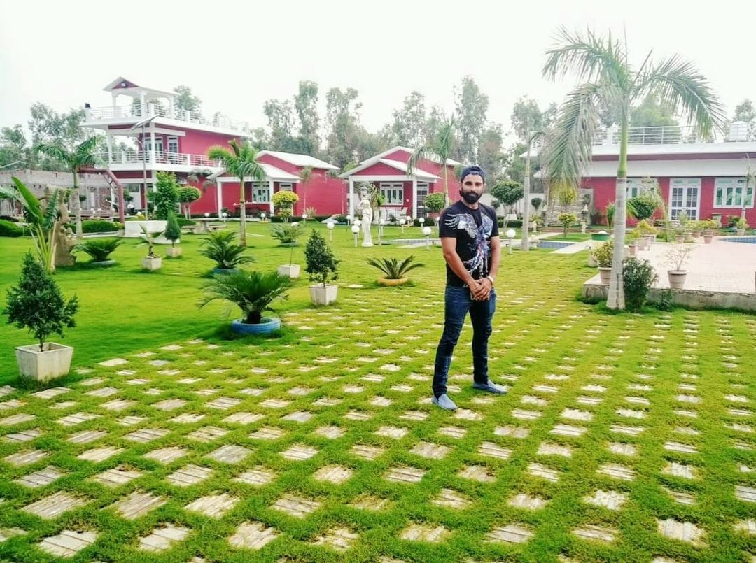 mohammad shami image