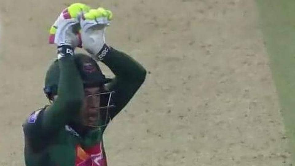Indian Cricket Fans