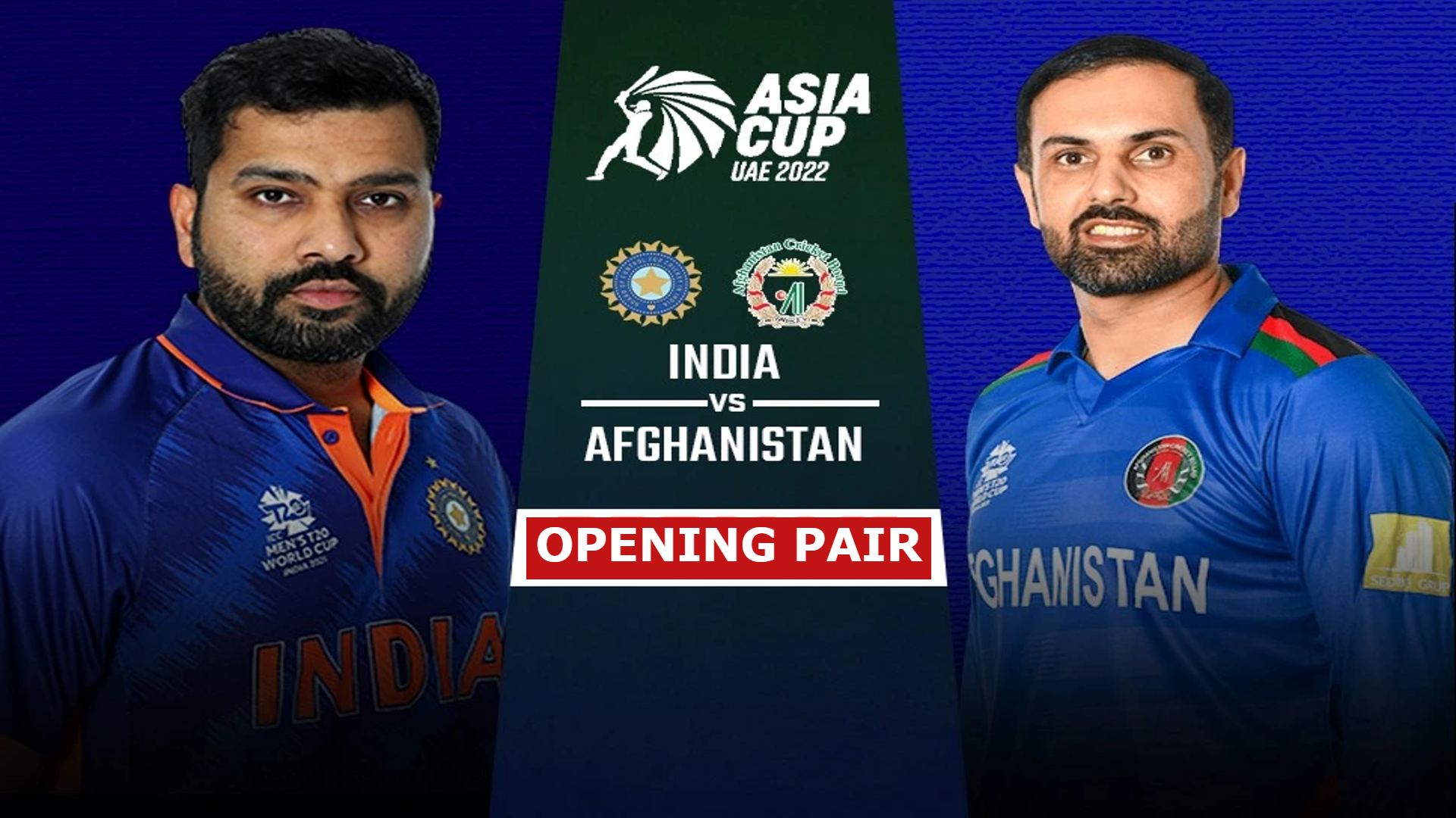 IND vs AFG 2022