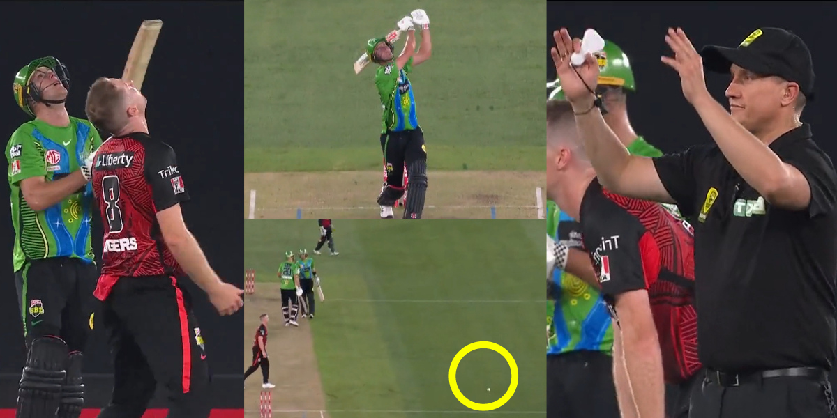 पिच पर गिरी गेंद को अंपायर ने दिया छक्का, BBL में हुआ अजीबो-गरीब कांड, वायरल हुआ VIDEO