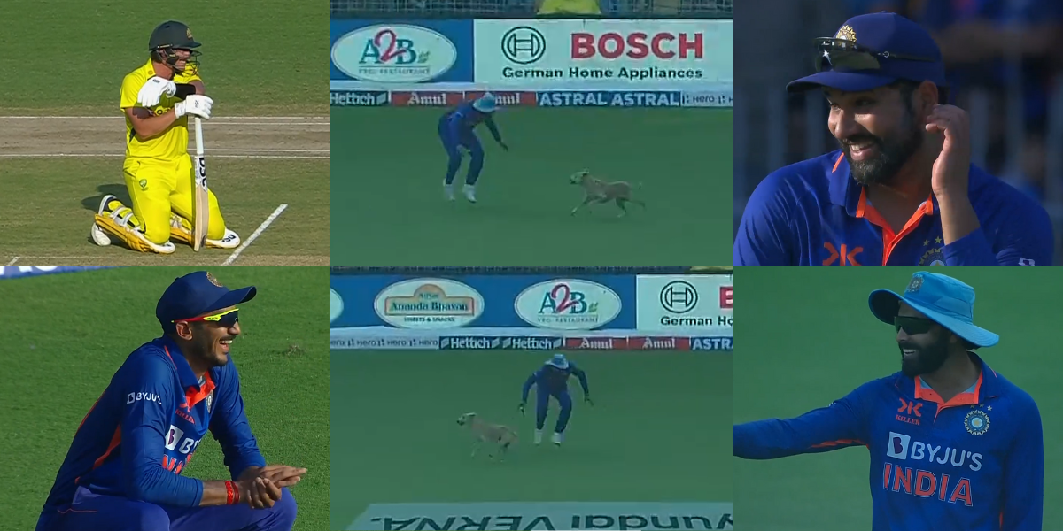 IND vs AUS: कुत्ते को पकड़ने में जडेजा के छूटे पसीने, तो रोहित-अक्षर ने जड्डू का उड़ाया जमकर मजाक