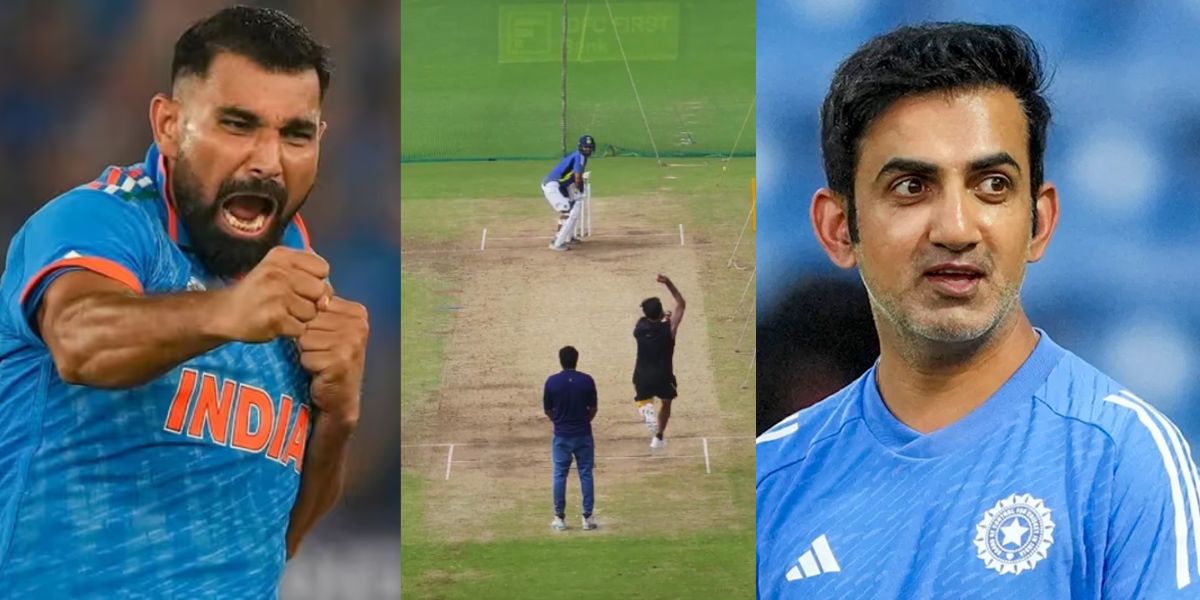 Mohammed Shami , Abhishek Nair , IND vs NZ