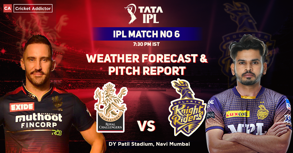 5 most beautiful cricketers in women's cricket world