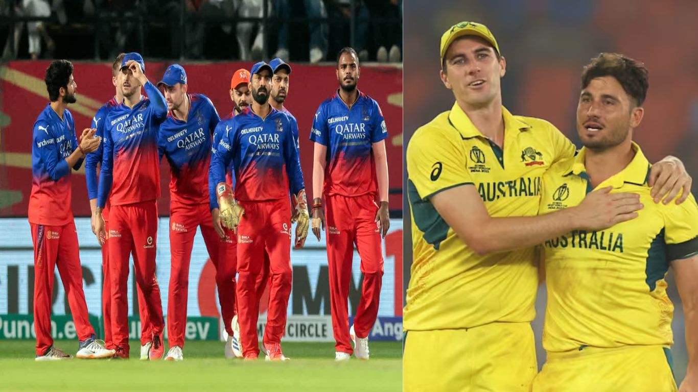 adam gilchrist , rcb ,  ipl 2025