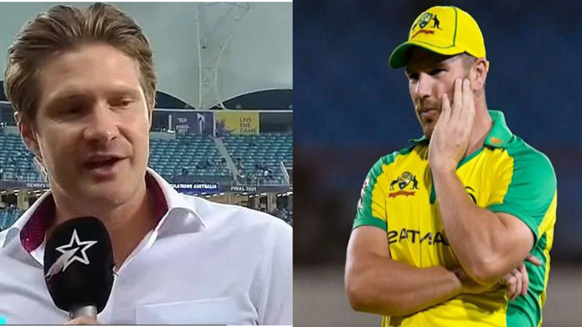 Aaron Finch and Shane Wastson