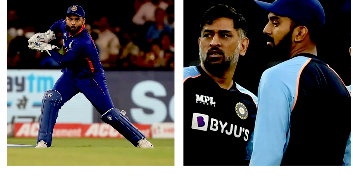 Brad hogg suggests rishabh pant to call ms dhoni or talk to kl rahul