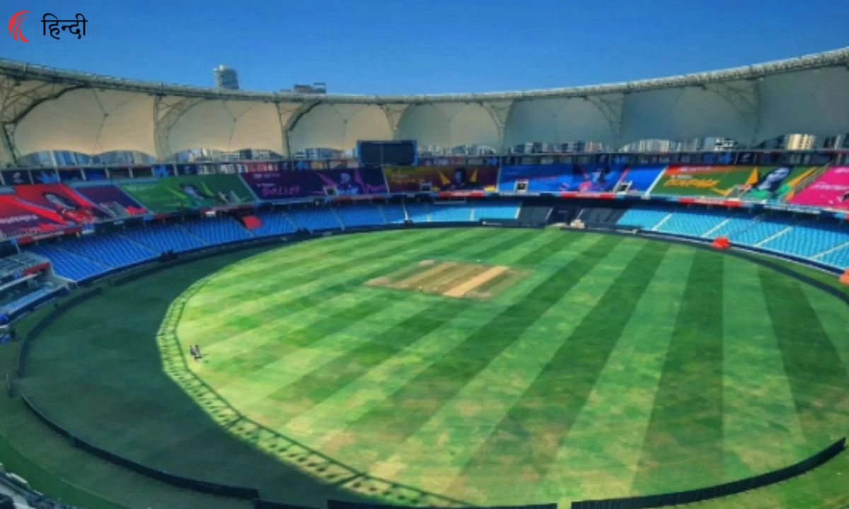 Cricket Addictor Hindi 80 