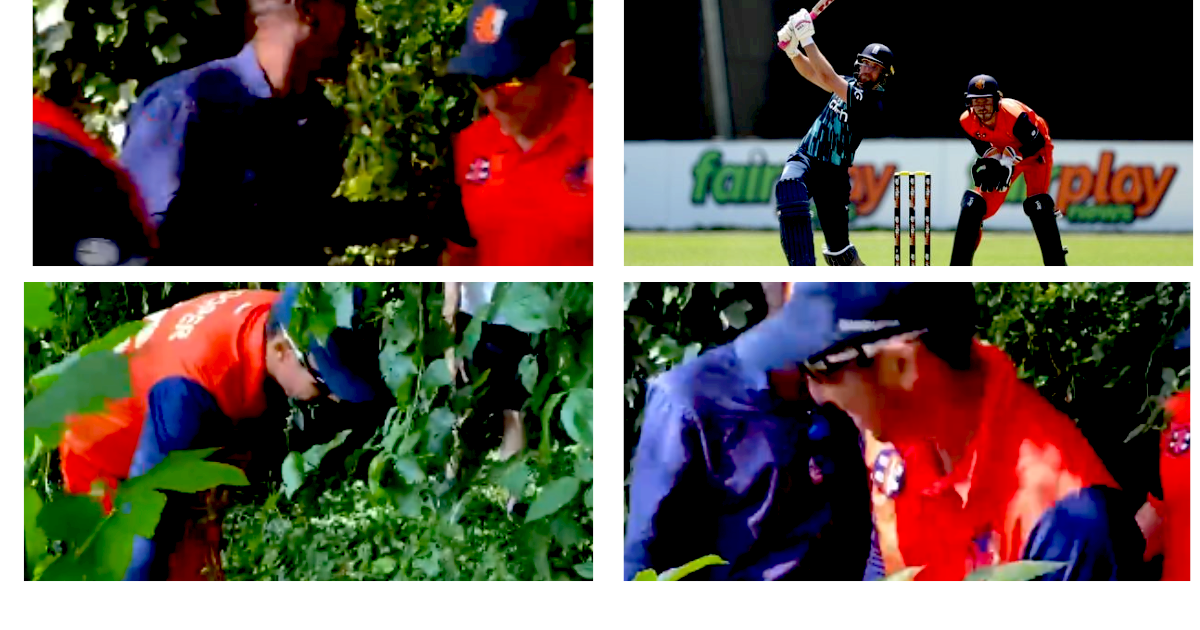 Dawid malan hit long six as ball lost in trees- watch video eng vs neth