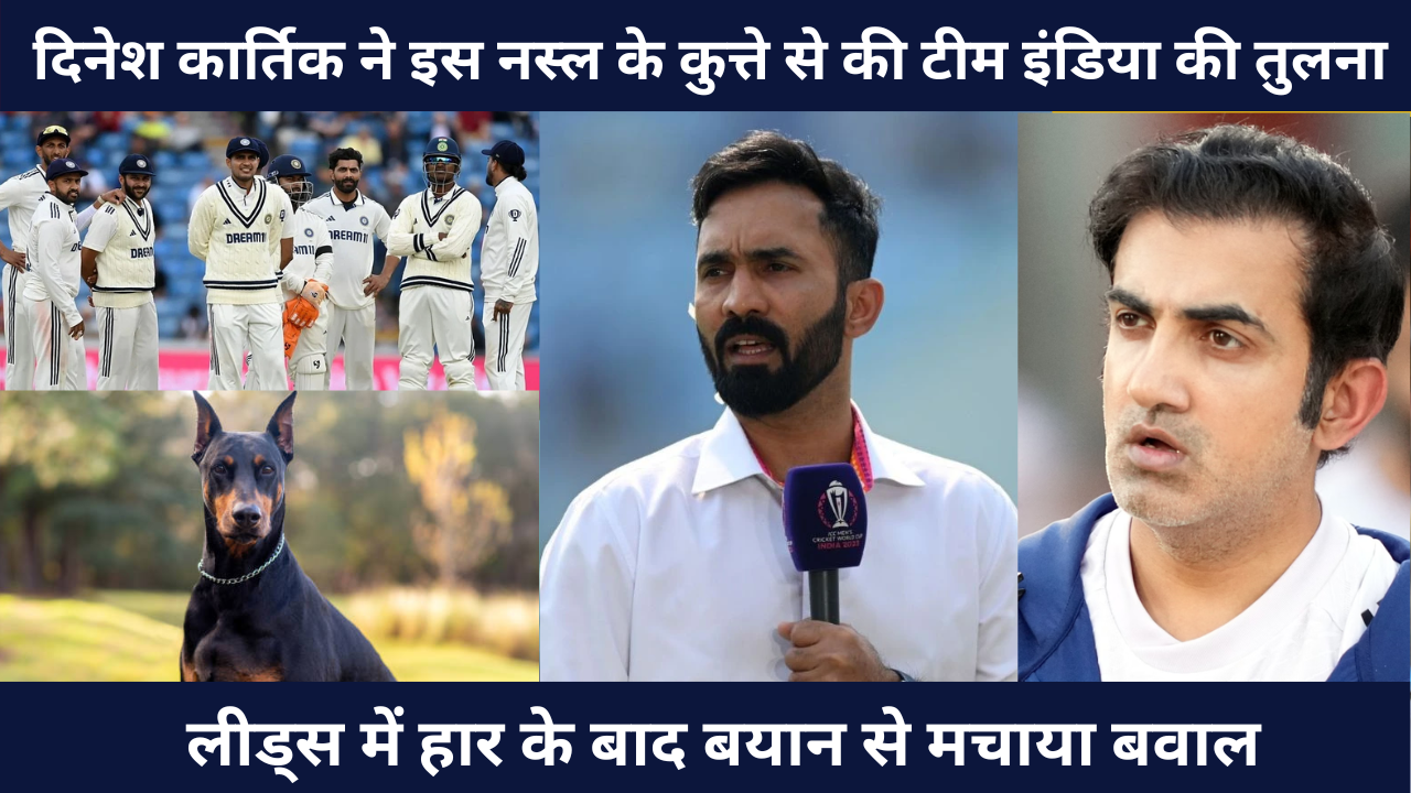 Dinesh Karthik Compared Team India To Doberman Breed Dog He Created A Ruckus With His Statement After The Defeat In Leeds