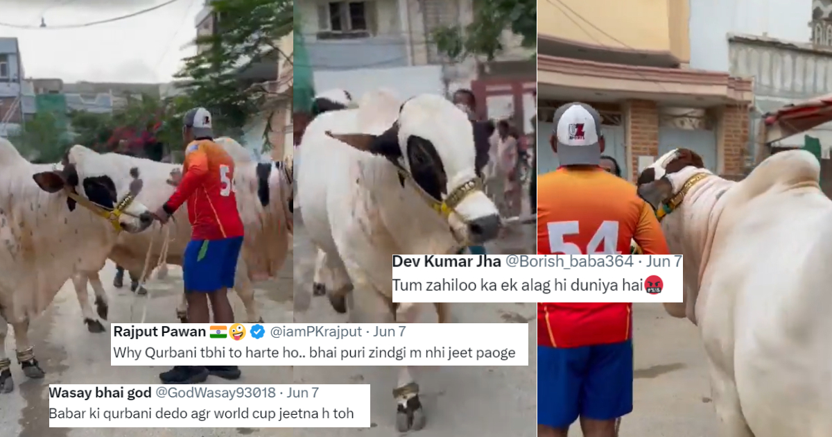 Eid Ul-Adha 2024 पर 'बैल' की कुर्बानी देगा टीम इंडिया का सबसे बड़ा दुश्मन, इस पाकिस्तानी क्रिकेटर का...