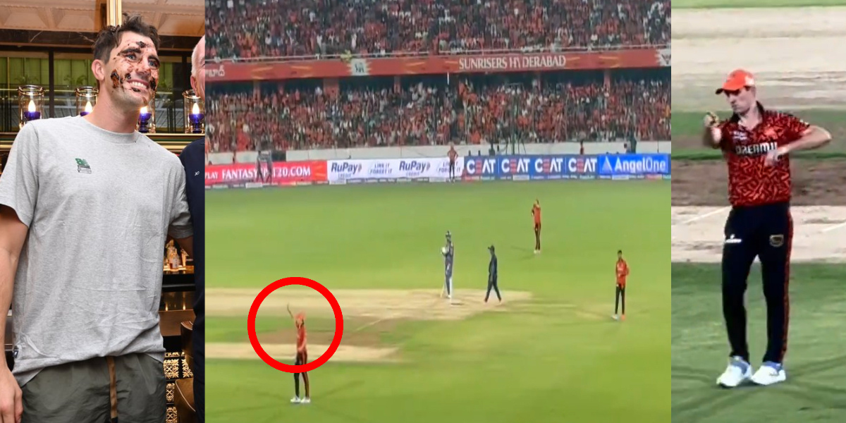 video-Indian fans wish Pat Cummins a birthday during srh vs lsg live match