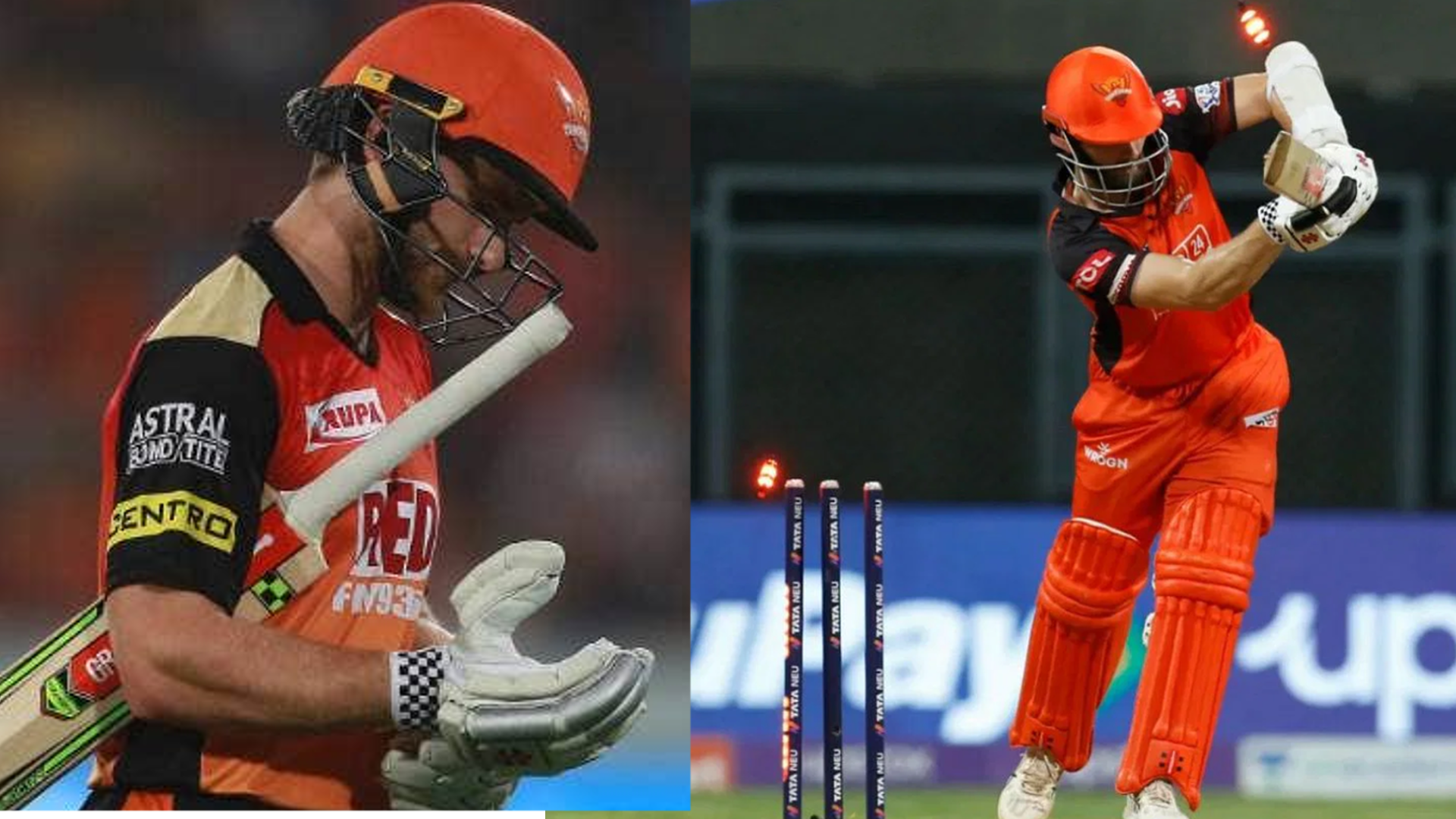 Kane Williamson