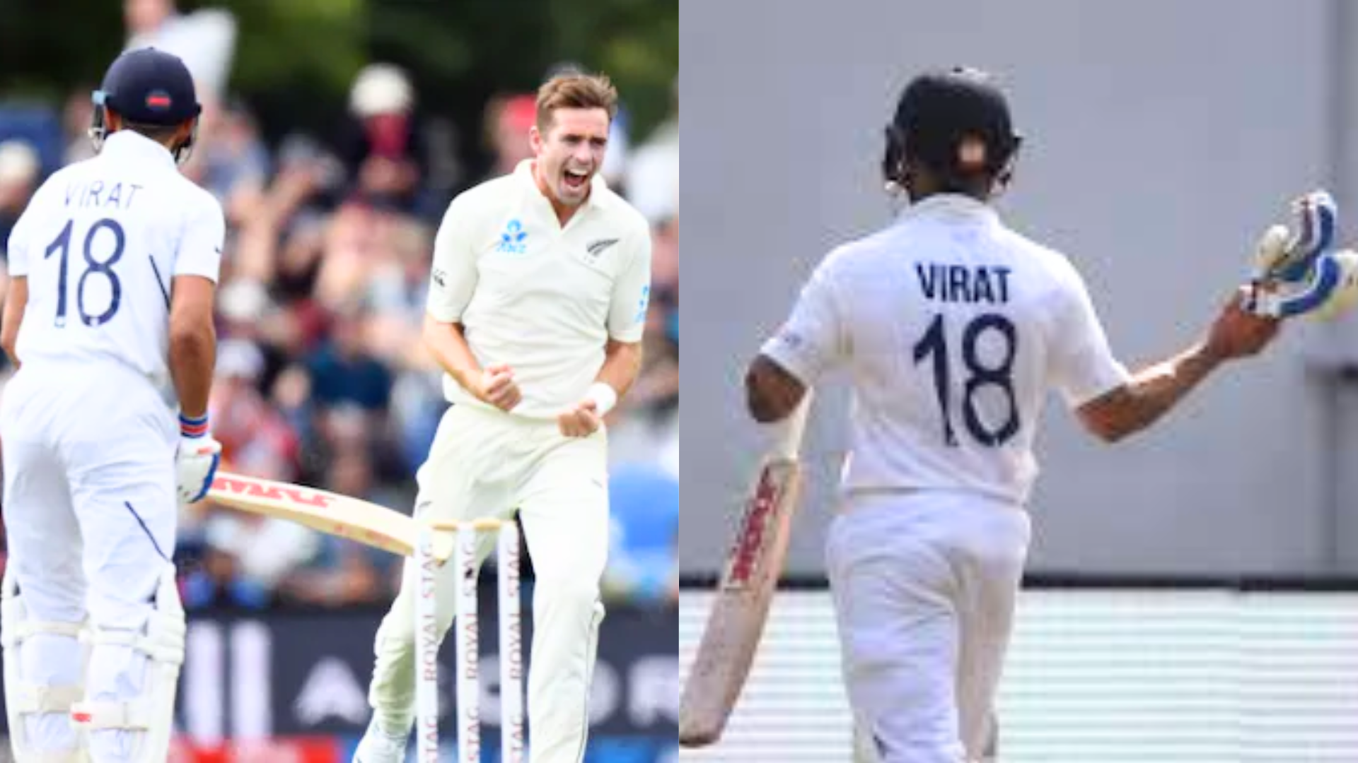 IND vs NZ, Virat Kohli