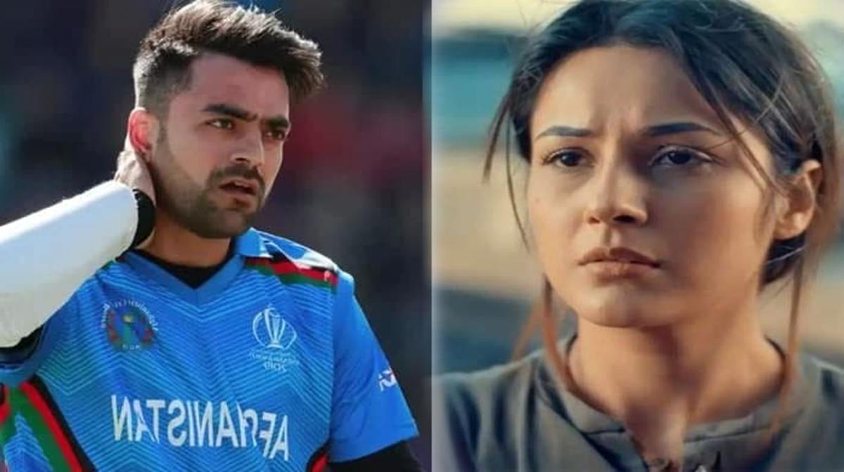 Rashid khan on Shehnaaz Gill new Song tu hai yahi