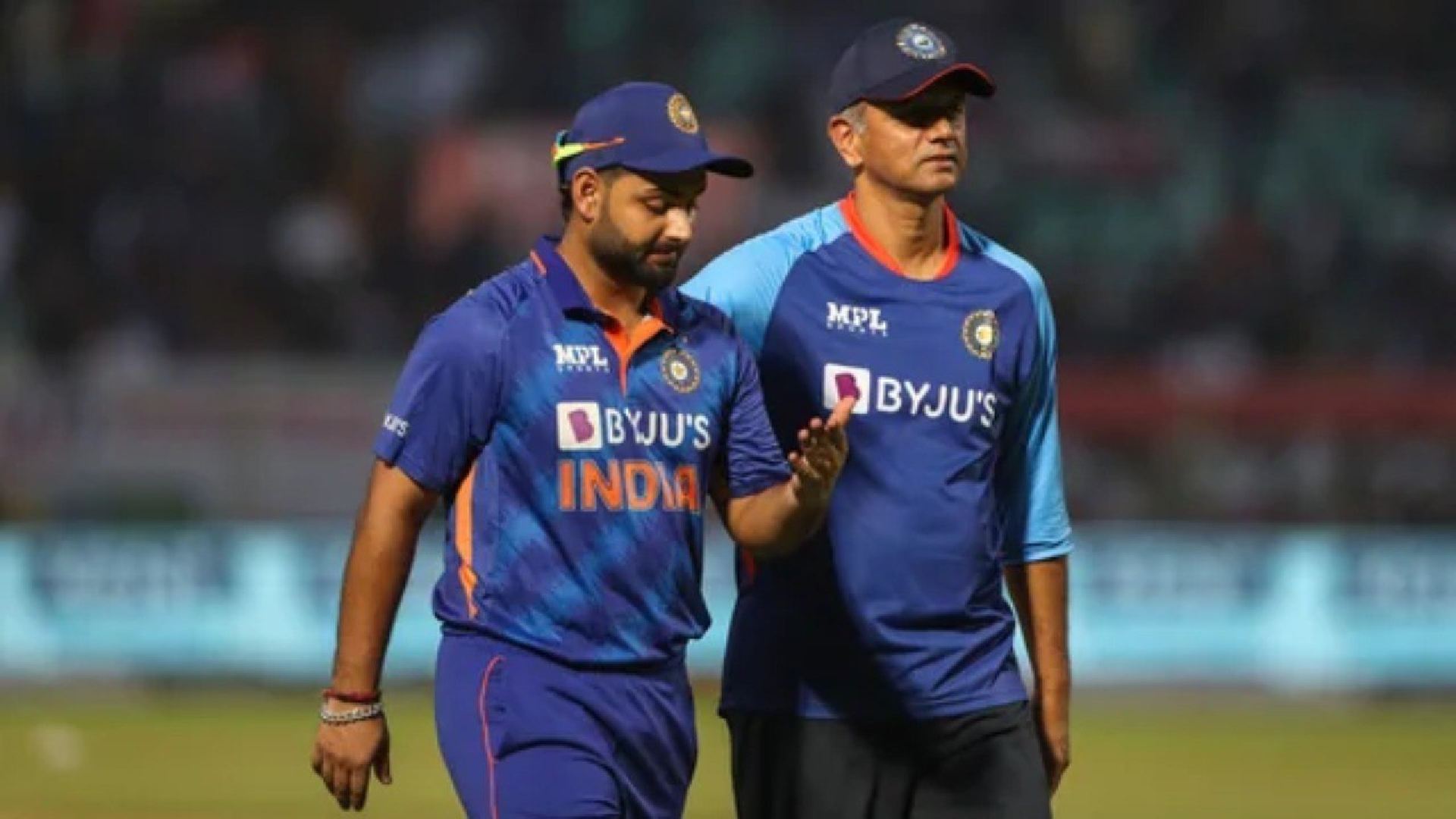 Ring Up MS Dhoni Former Australia Spinner's brad hogg Advice For Rishabh Pant