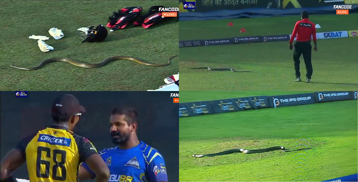 Snake entered the live match of Lanka Premier League players ran away video viral