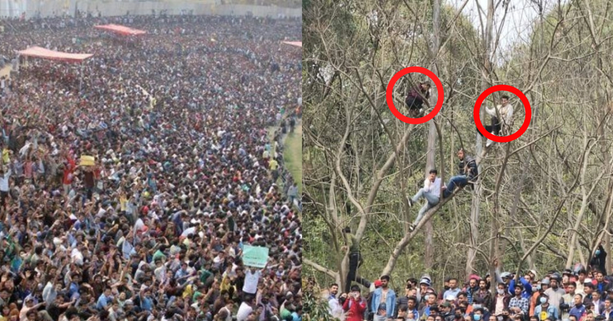 नेपाल में Cricket मैच देखने के लिए रास्ते हुए जाम, लोगों ने पेड़ों पर लटककर देखा मुकाबला