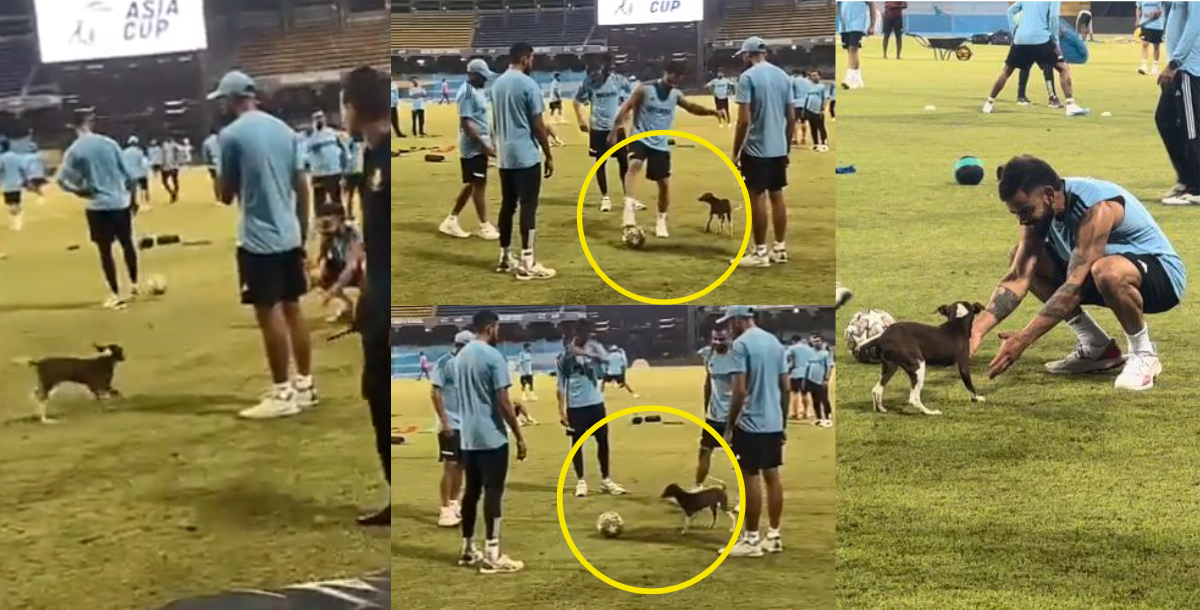 Video team india and virat kohli been playing football with dog ahead of ind vs pak match