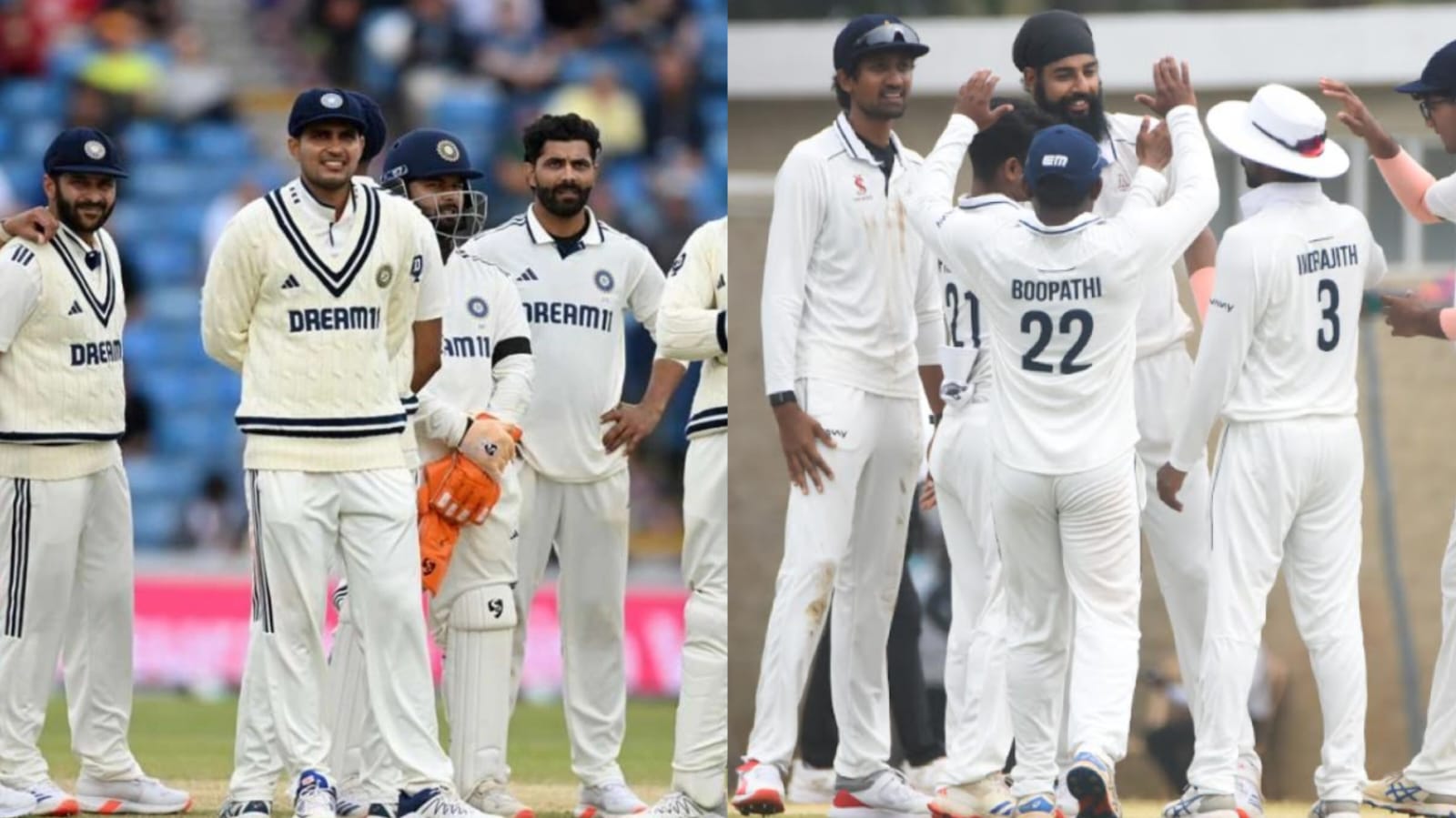 Domestic Cricket