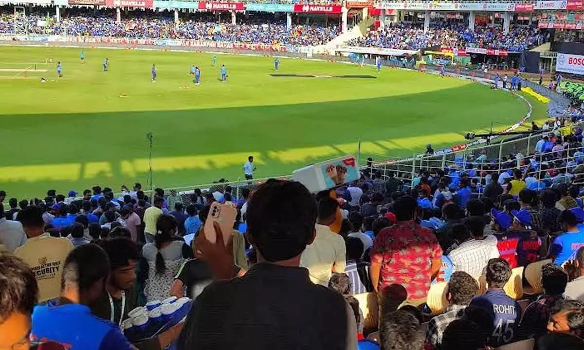 Cricket
