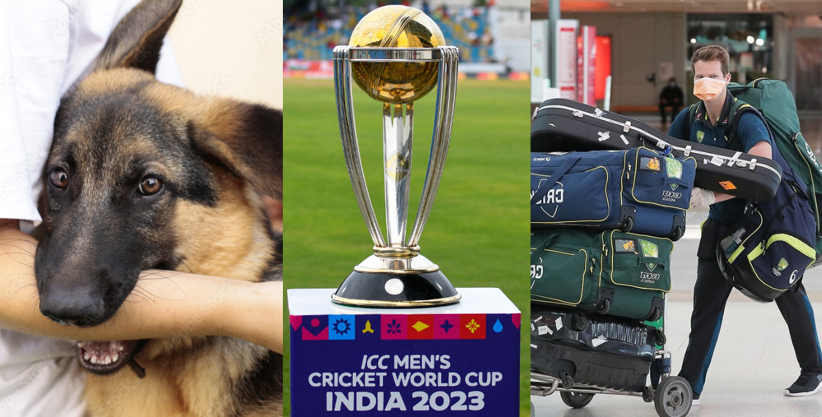 इस दिग्गज खिलाड़ी की पत्नी को कुत्ते ने काटा, करवानी पड़ी सर्जरी, तो World Cup 2023 छोड़ अपने घर हुआ...