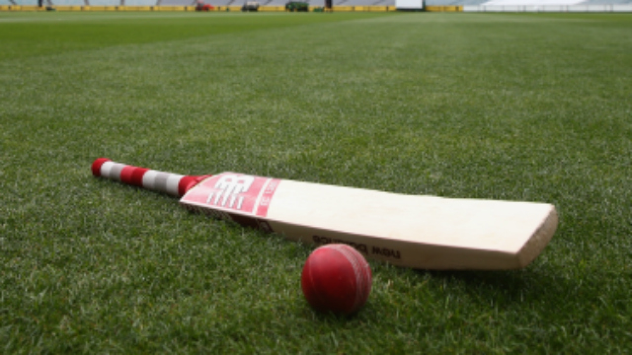 Cricket