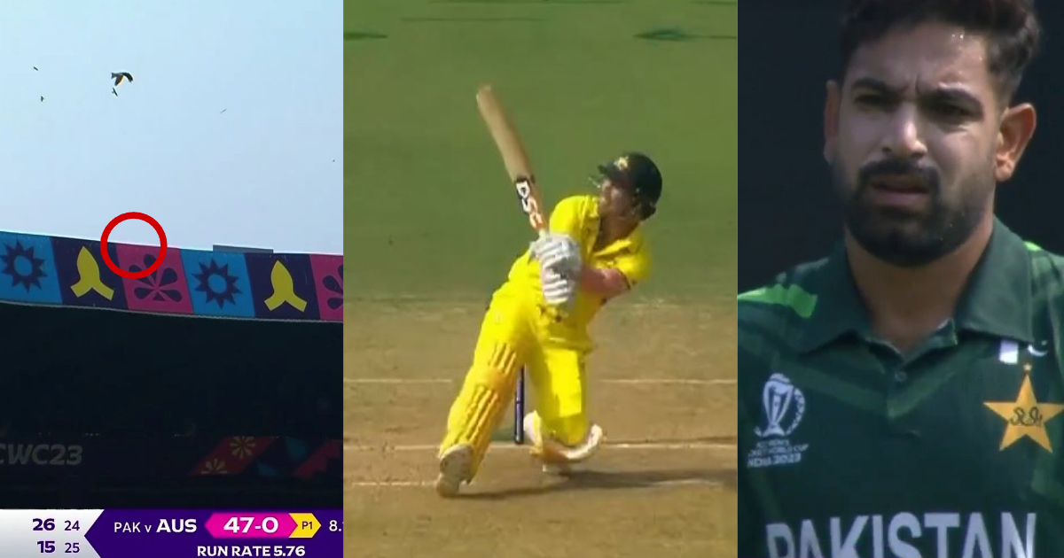 David Warner ने निकाली Haris Rauf की हेकड़ी, 145KMPH की गेंद पर जड़ा दनदनाता SIX, मैदान से बाहर जाकर ग...