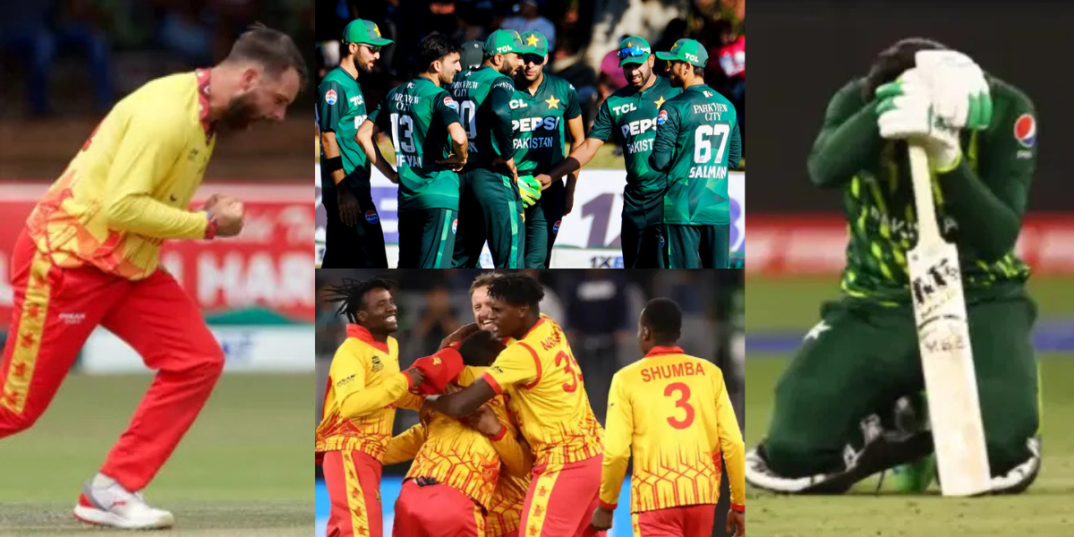 Zimbabwe beat pakistan by 2 wickets in zim vs pak 3rd T20 Match