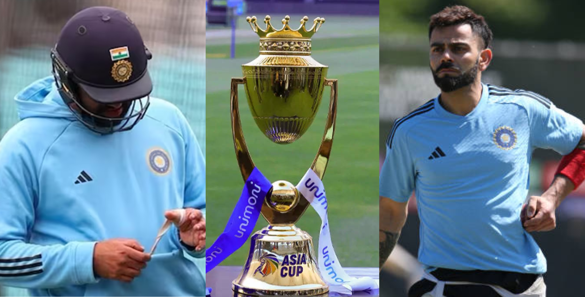 glenn maxwell injured ahead asia cup 2023 matthew wade replace him