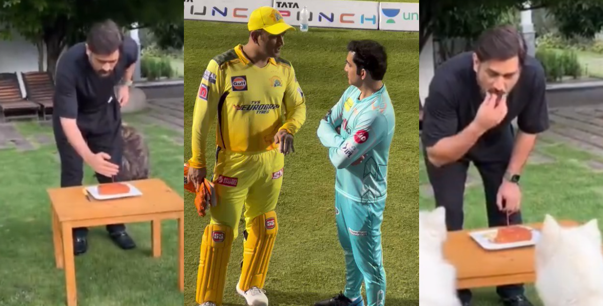 ms dhoni celebrated his 42th birthday with dogs video gone viral