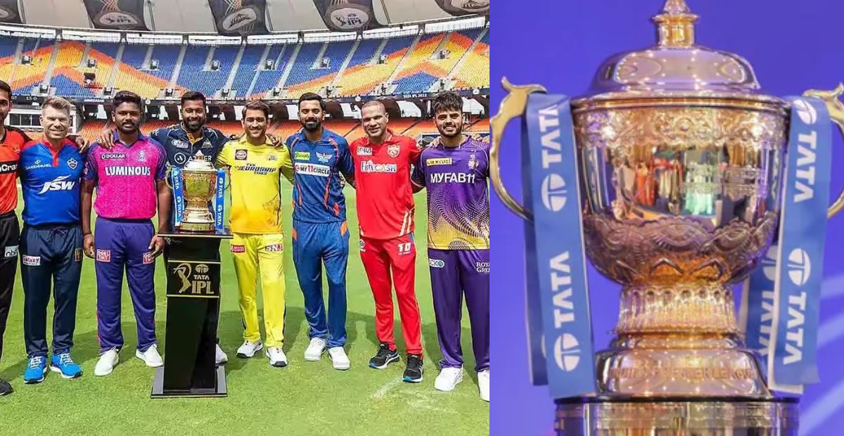 David Warner, IPL 2025, Delhi Capitals