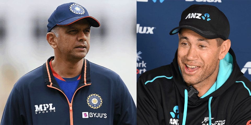 ross-taylor-says-there-are-almost-4000-tigers-in-the-wild-but-there-s-only-one-rahul-dravid