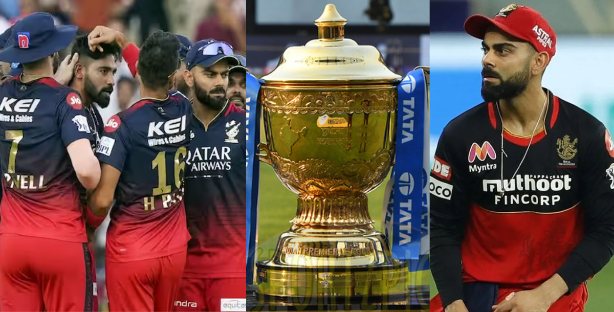 rcb appointed mo bobat as new director of cricket for ipl 2024