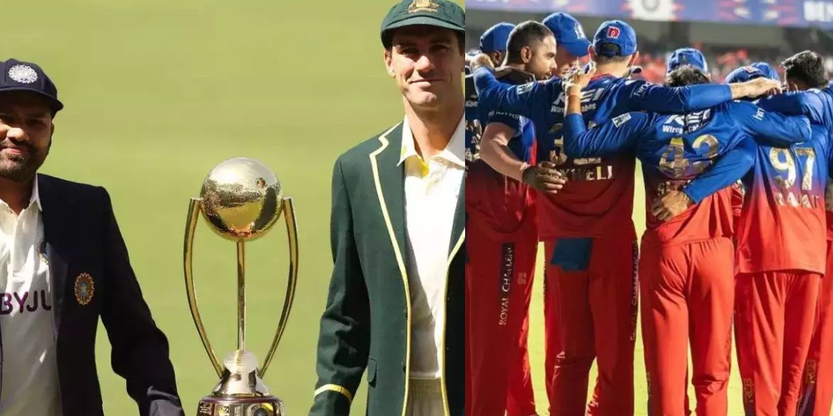 RCB , Cameron Green , Border Gavaskar Trophy