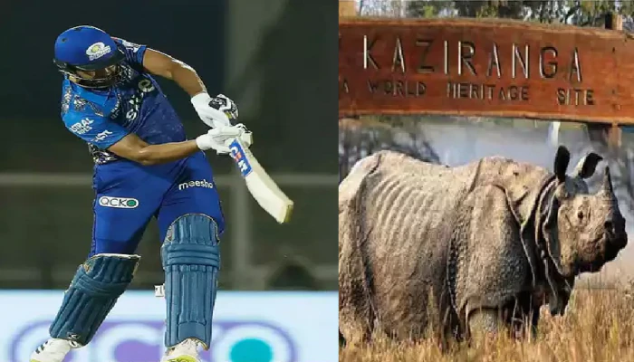 Rohit Sharma ने जड़ा 5 लाख रुपये का गगनचुंबी छक्का, असम के गेंडों को गिफ्ट में मिले 5 लाख
