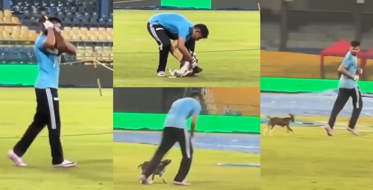 shreyas iyer practice with puppy video goes viral