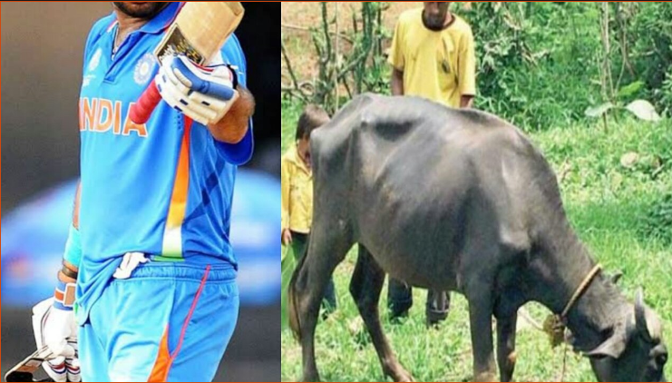 bhalaji damor cricketer