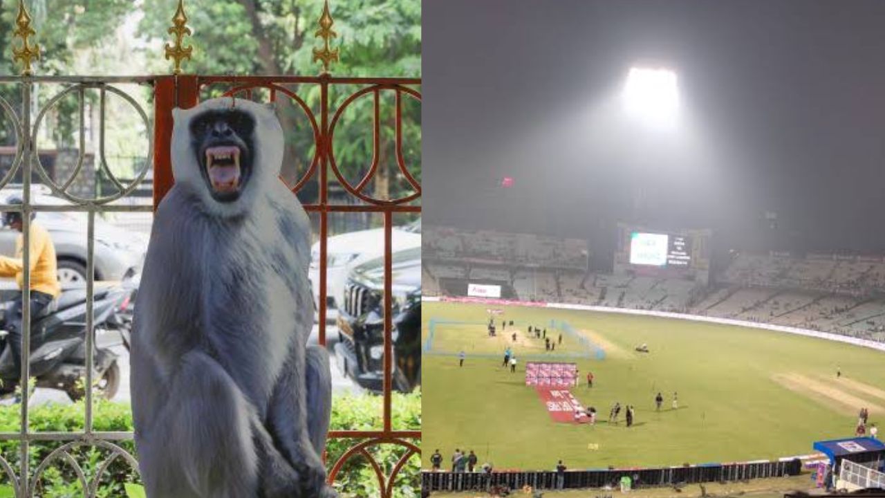 Cricket 2