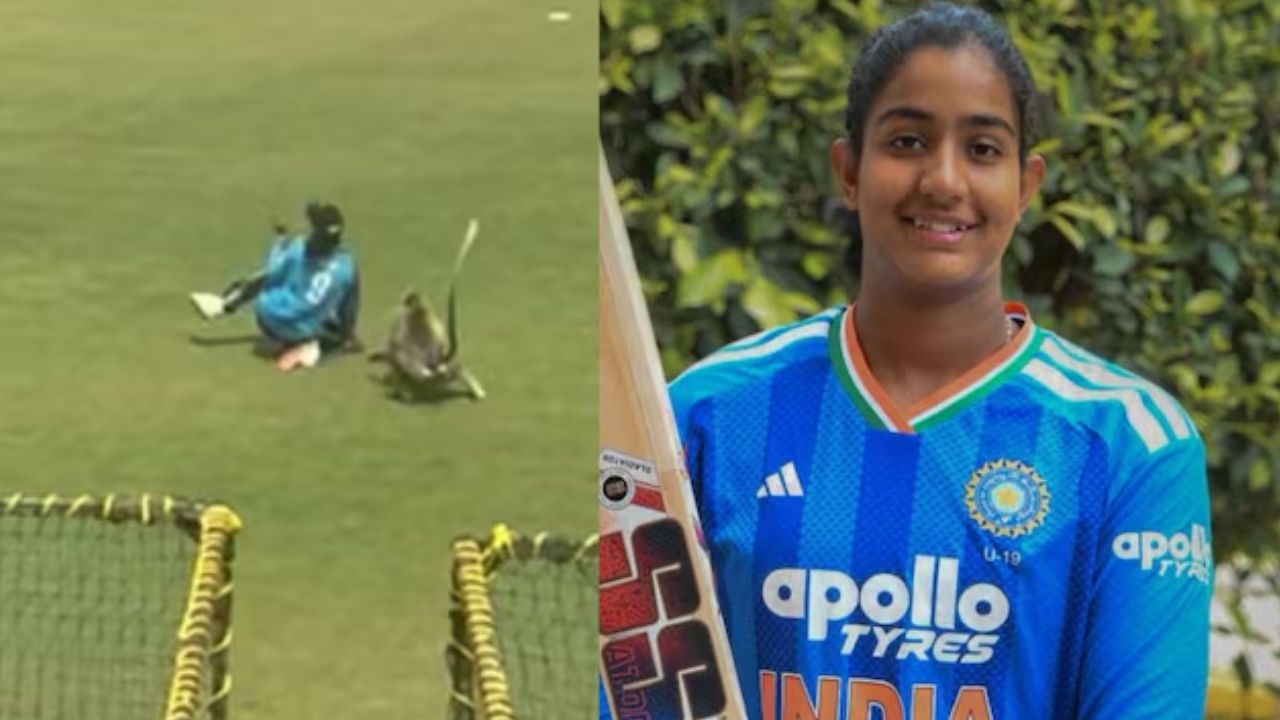 Cricket 3 Cricket 3