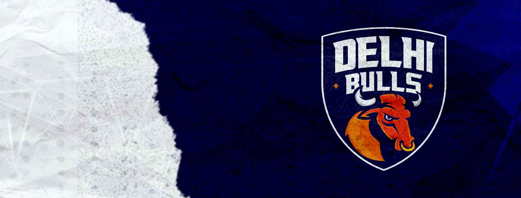 Delhi Bulls Cricket Team