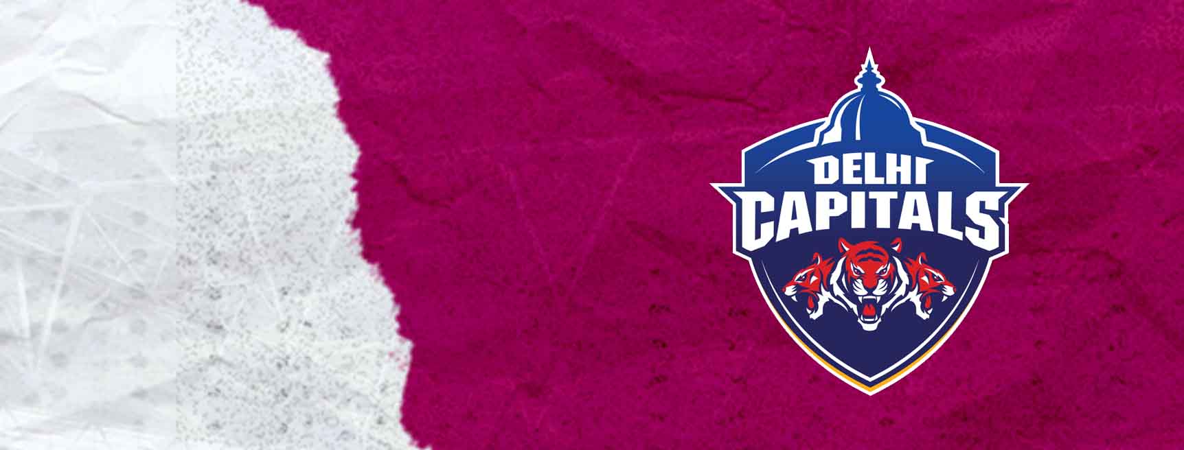 Delhi Capitals Women Cricket Team