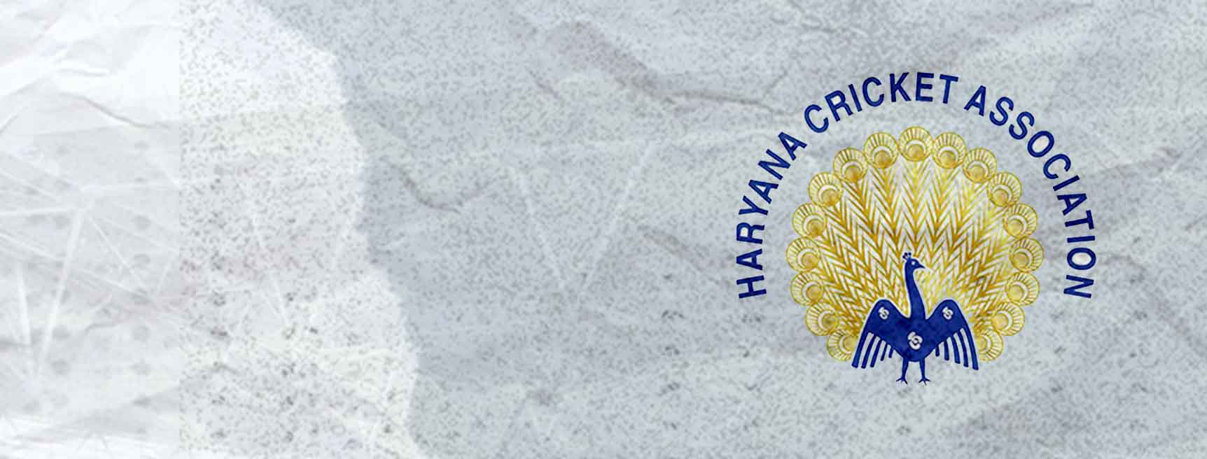 Haryana Cricket Team