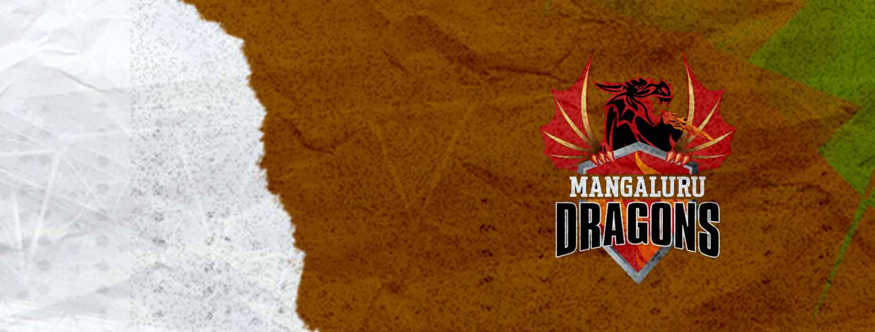 Mangalore Dragons Cricket Team