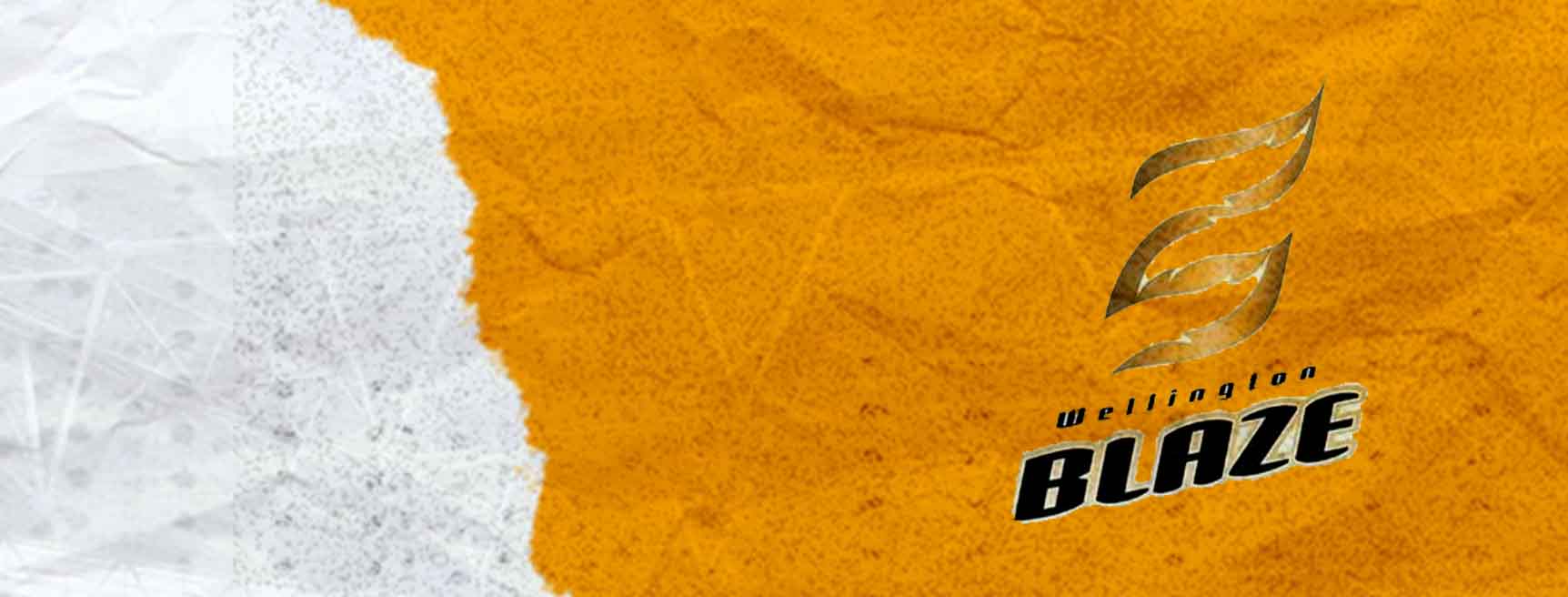 Wellington Blaze Cricket Team