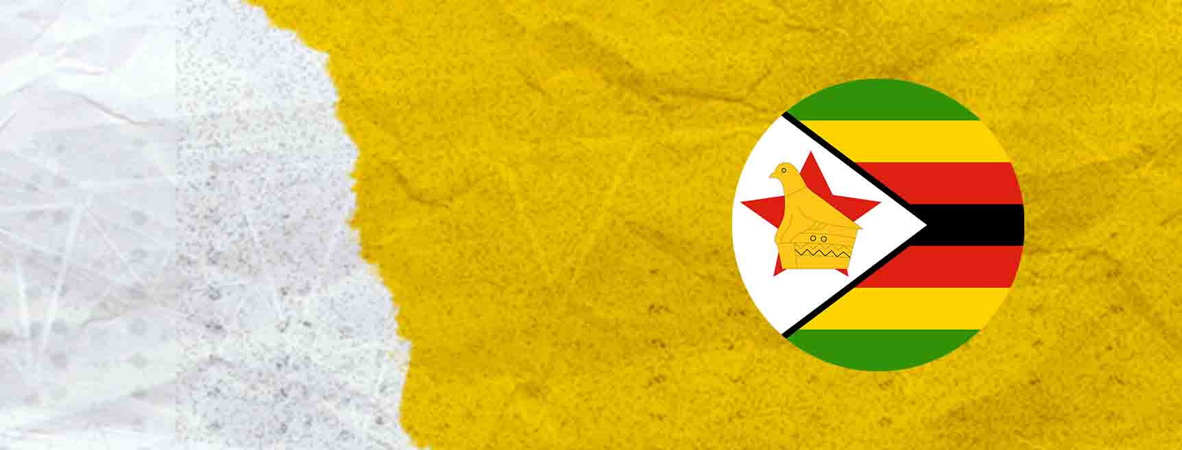 Zimbabwe National Cricket Team