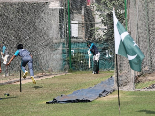 pakistan cricket team flag