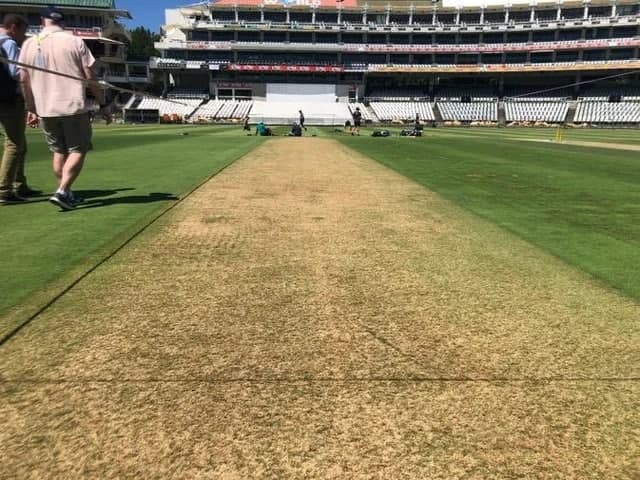 Cape town pitch Report