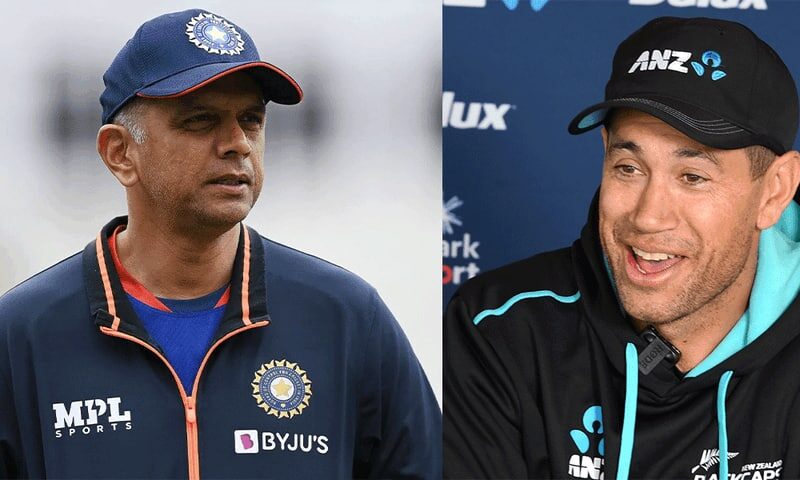 ross-taylor-says-there-are-almost-4000-tigers-in-the-wild-but-there-s-only-one-rahul-dravid