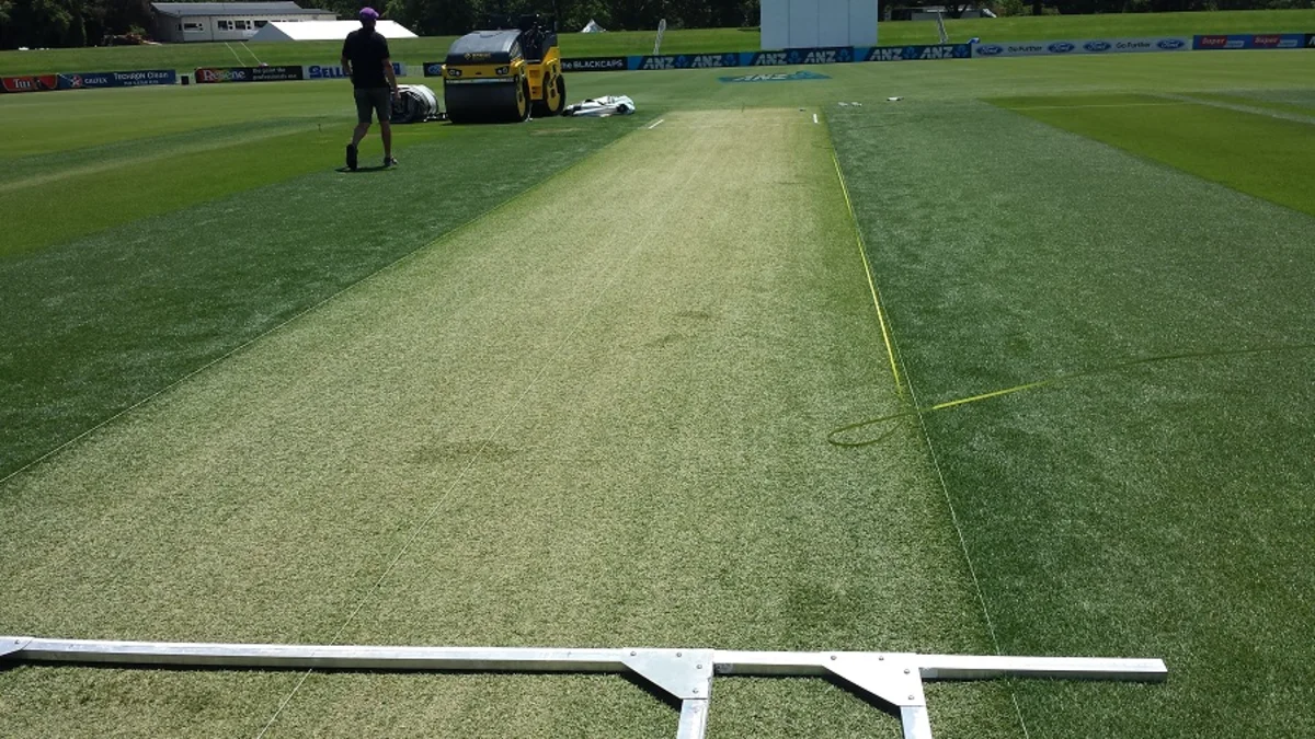 hagley oval pitch report