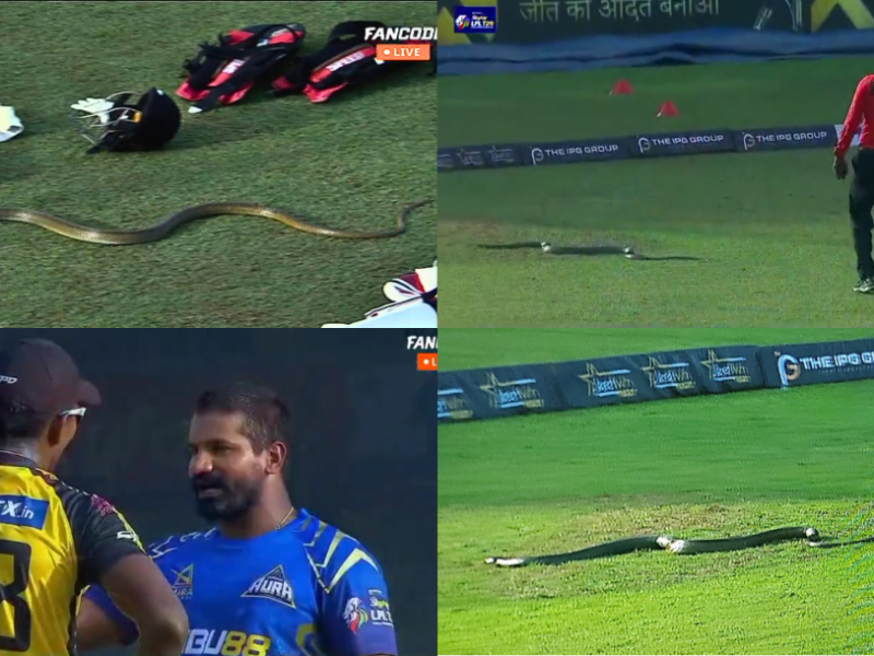 Snake entered the live match of Lanka Premier League players ran away video viral